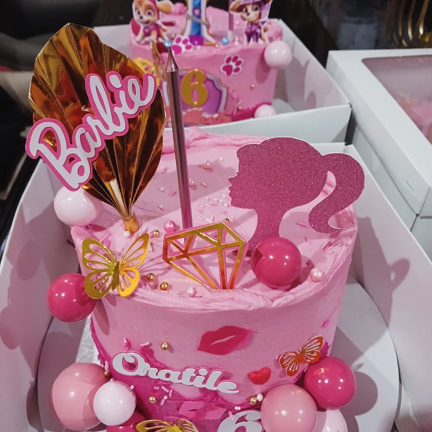 Barbie & Paw Patrol Party Boxes by Rosy's Cakes and Events